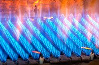 Chapelton gas fired boilers